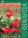 Wild Flowers